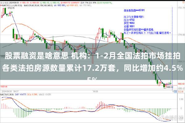股票融资是啥意思 机构：1-2月全国法拍市场挂拍各类法拍房源数量累计17.2万套，同比增加约4.5%