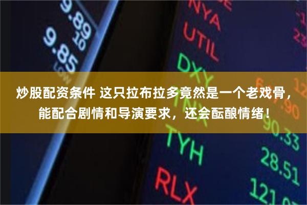 炒股配资条件 这只拉布拉多竟然是一个老戏骨，能配合剧情和导演要求，还会酝酿情绪！
