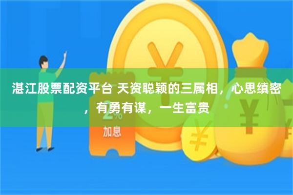 湛江股票配资平台 天资聪颖的三属相，心思缜密，有勇有谋，一生富贵