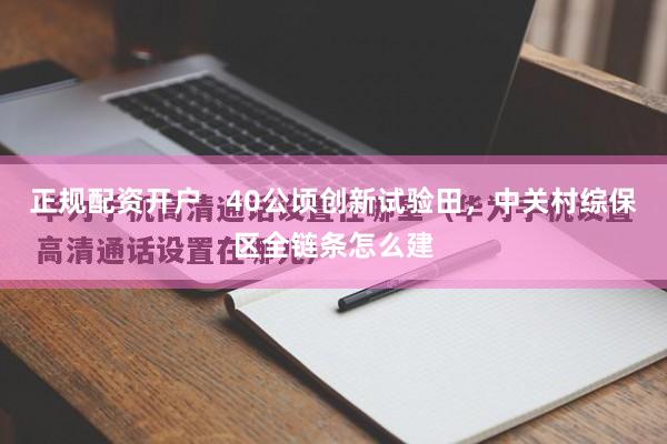 正规配资开户   40公顷创新试验田，中关村综保区全链条怎么建