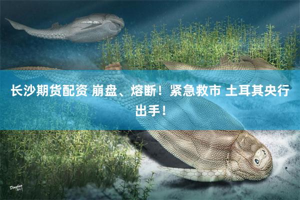 长沙期货配资 崩盘、熔断！紧急救市 土耳其央行出手！
