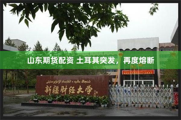山东期货配资 土耳其突发，再度熔断