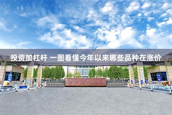 投资加杠杆 一图看懂今年以来哪些品种在涨价