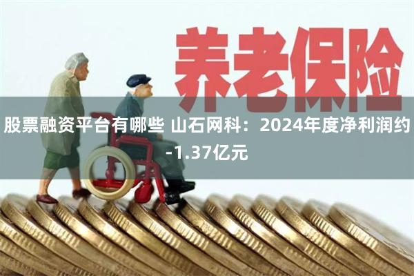股票融资平台有哪些 山石网科：2024年度净利润约-1.37亿元