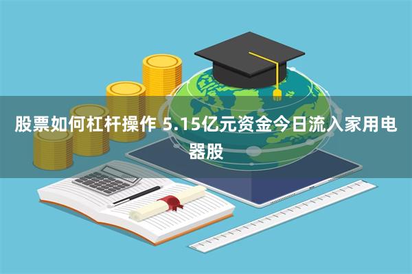 股票如何杠杆操作 5.15亿元资金今日流入家用电器股