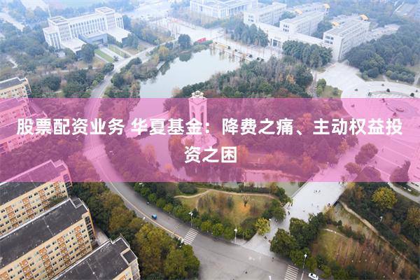 股票配资业务 华夏基金：降费之痛、主动权益投资之困