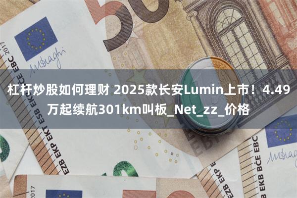 杠杆炒股如何理财 2025款长安Lumin上市！4.49万起续航301km叫板_Net_zz_价格
