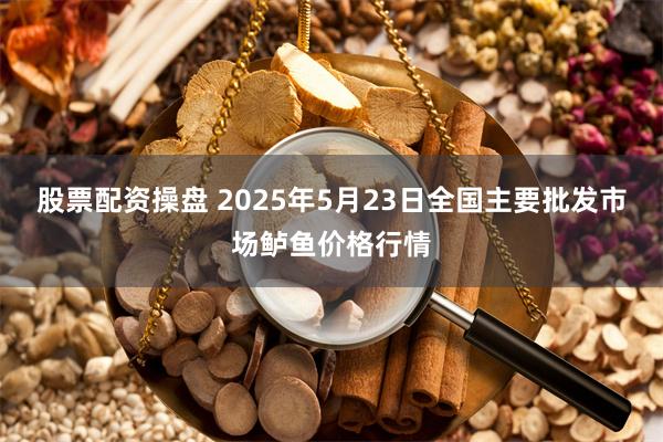股票配资操盘 2025年5月23日全国主要批发市场鲈鱼价格行情