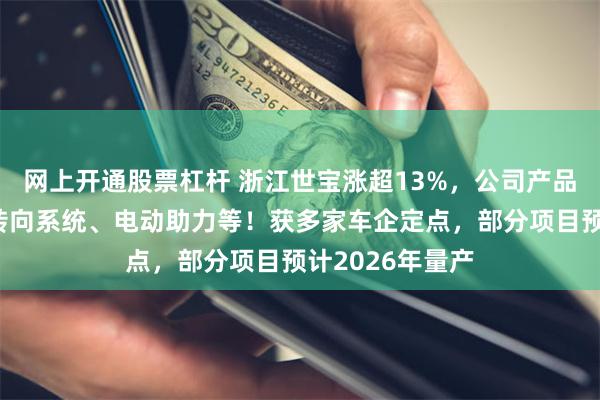 网上开通股票杠杆 浙江世宝涨超13%，公司产品涵盖液压助力转向系统、电动助力等！获多家车企定点，部分项目预计2026年量产