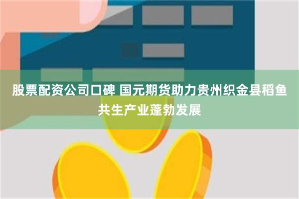股票配资公司口碑 国元期货助力贵州织金县稻鱼共生产业蓬勃发展