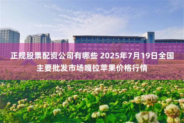 正规股票配资公司有哪些 2025年7月19日全国主要批发市场嘎拉苹果价格行情
