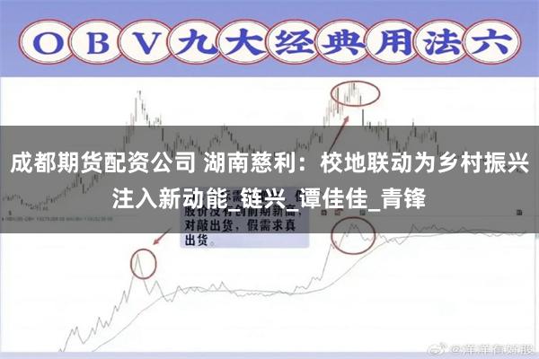 成都期货配资公司 湖南慈利：校地联动为乡村振兴注入新动能_链兴_谭佳佳_青锋