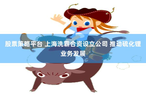 股票策略平台 上海洗霸合资设立公司 推动硫化锂业务发展