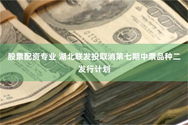 股票配资专业 湖北联发投取消第七期中票品种二发行计划
