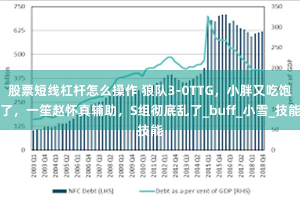 股票短线杠杆怎么操作 狼队3-0TTG，小胖又吃饱了，一笙赵怀真辅助，S组彻底乱了_buff_小雪_技能
