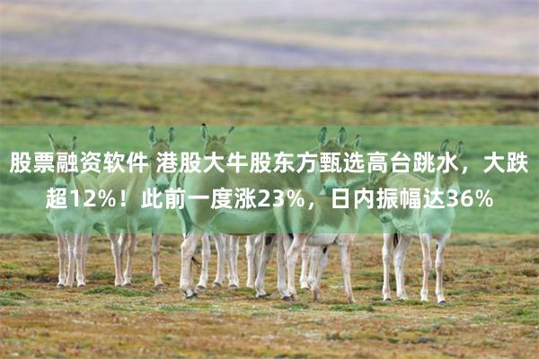 股票融资软件 港股大牛股东方甄选高台跳水，大跌超12%！此前一度涨23%，日内振幅达36%