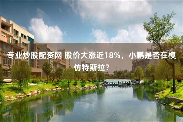 专业炒股配资网 股价大涨近18%，小鹏是否在模仿特斯拉？