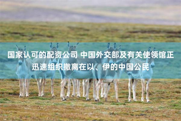 国家认可的配资公司 中国外交部及有关使领馆正迅速组织撤离在以、伊的中国公民