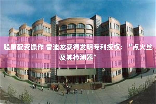 股票配资操作 雪迪龙获得发明专利授权：“点火丝及其检测器”