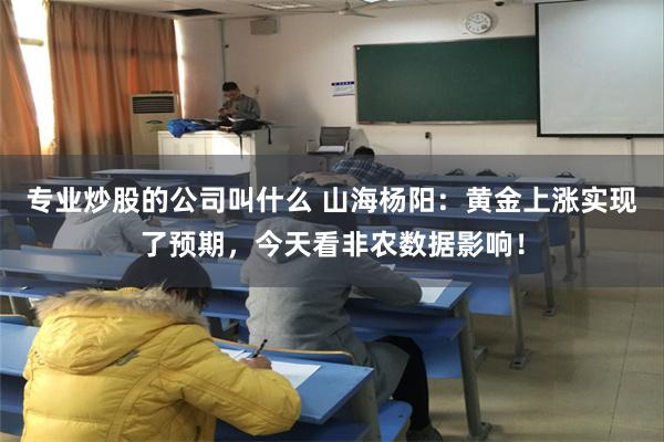 专业炒股的公司叫什么 山海杨阳：黄金上涨实现了预期，今天看非农数据影响！