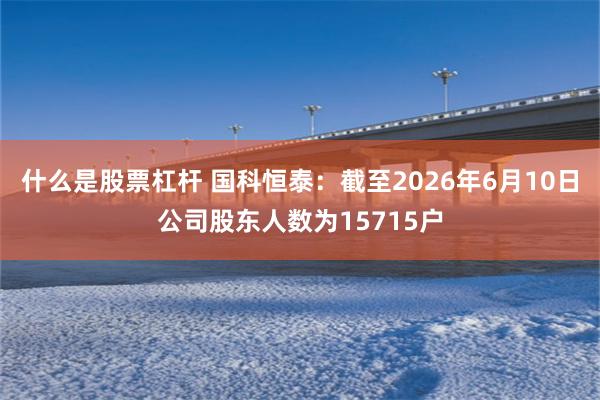 什么是股票杠杆 国科恒泰：截至2026年6月10日公司股东人数为15715户